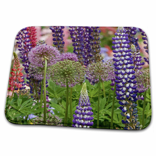 3dRose Oregon, Salem, Schreiners Iris Garden flowers - US38... - Dish Drying Mats (ddm-93570-1)