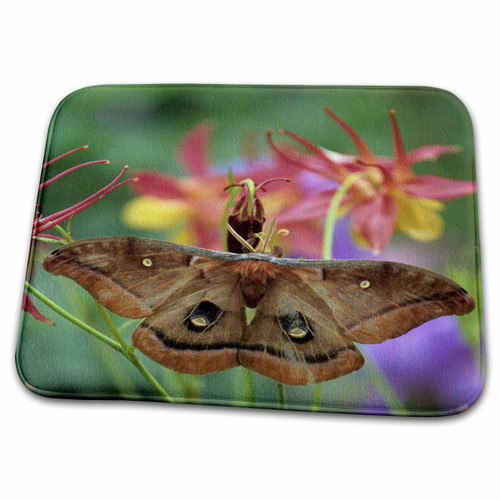 3dRose Polyphemus Moth Insect on Columbine in Garden - NA01... - Bathroom Bath Rug Mats (rug-83318-1)