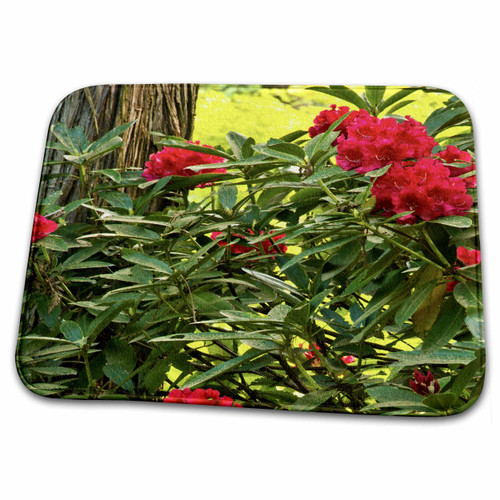 3dRose Portland Japanese Garden - Strolling Garden - Dish Drying Mats (ddm-206704-1)