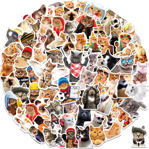 200 Pcs Cat Stickers,Cute Cat Waterproof Stickers,Vinyl Stickers for Water Bottle,Laptop,Phone,Skateboard Stickers for KidsTeens Girls 200 Pcs Cat Stickers,Cute Cat Waterproof Stickers,Vinyl Stickers for Water Bottle,Laptop,Phone,Skateboard Stickers for KidsTeens Girls