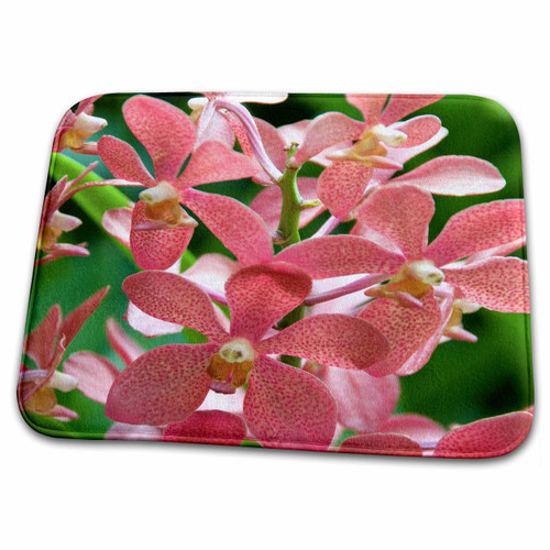 3dRose Singapore, National Orchid Garden -AS32 CMI0090 -... - Bathroom Bath Rug Mats (rug-74042-1) 3dRose Singapore, National Orchid Garden -AS32 CMI0090 -... - Bathroom Bath Rug Mats (rug-74042-1)