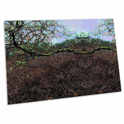 3dRose Dylan Seibold - Photo Abstraction - Snow Berry Bush Face - Desk Pad Place Mats (dpd-333051-1) 3dRose Dylan Seibold - Photo Abstraction - Snow Berry Bush Face - Desk Pad Place Mats (dpd-333051-1)