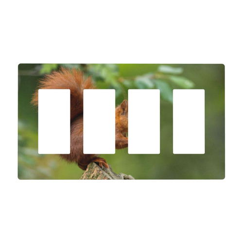 Squirrel Animal Printed Wall Plates 4 Gang Outlet Covers Decorator Light Switch Cover Device Switch Wallplate Receptacle Outlet Wall Plate