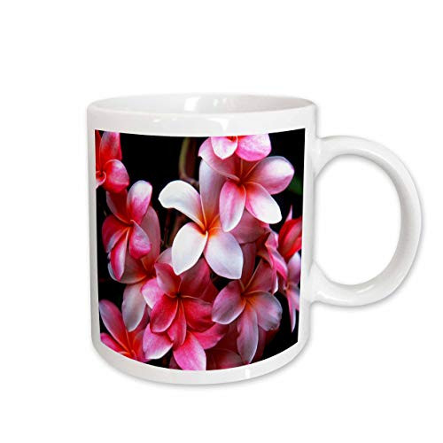 3dRose mug_62165_2"Hawaiian Fuchsia Colored Plumeria Flowers" Ceramic Mug, 15 oz, Multicolor