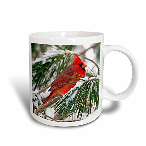3dRose mug_112146_2 Red and Black Cardinal Perched in Snowy Pine Tree Ceramic Mug, 15-Ounce