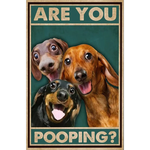 QKIODS Metal Sign Dachshund Are You Pooping Sign Vintage Funny Sign Retro Aluminum Tin Signs for Home Farm Garden Bar Bathroom Kitchen 8x12 Inches
