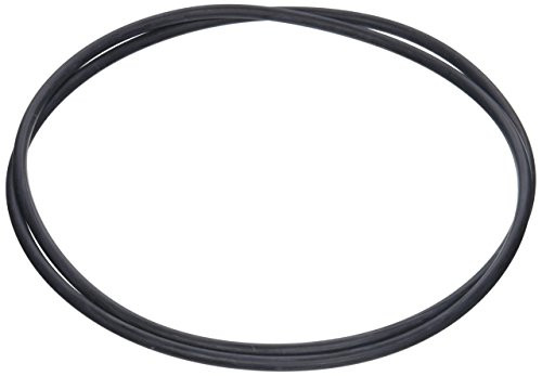 Waterway Plastics 806105129819 Clearwater O-Ring Lid Assembly