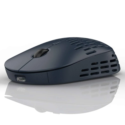 RAPIQUE Type C Wireless Mouse, Dual Mode Rechargeable Silent Bluetooth Mice with 2.4G Type C Receiver for Laptop, iMac, Chromebook,MacBook pro/air and All Type-C Device (Blue)