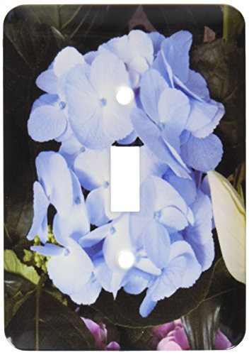 3dRose lsp_40837_1 Blue Hydrangea Single Toggle Switch