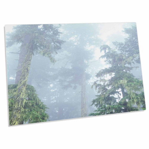3dRose USA, Oregon, Old-Growth Douglas Fir Tree in The... - Desk Pad Place Mats (dpd-208708-1)