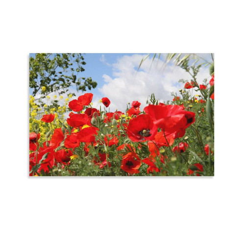 GCOYOZD Red Garden Beautiful Plant Landscape Poster Wall Art Paintings Canvas Wall Decor Home Decor Living Room Decor Aesthetic 12x18inch(30x45cm) Unframe-Style GCOYOZD Red Garden Beautiful Plant Landscape Poster Wall Art Paintings Canvas Wall Decor Home Decor Living Room Decor Aesthetic 12x18inch(30x45cm) Unframe-Style