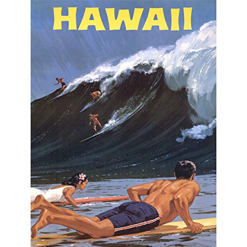 TRAVEL TOURISM HAWAII USA SURF OCEAN WAVE NEW FINE ART PRINT POSTER PICTURE 30x40 CMS CC4408