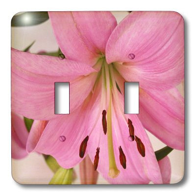 3dRose LSP_29196_2 Light Pink Oriental Lily Toggle Switch, Multi-Color