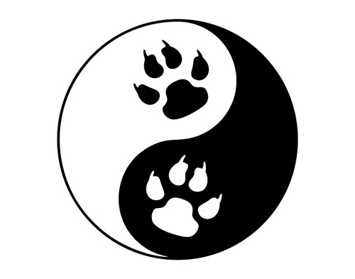 Yin Yang Symbol with Cat Paws - for Cars Funny Car Vinyl Bumper Sticker Window Decal | White | 4" inch