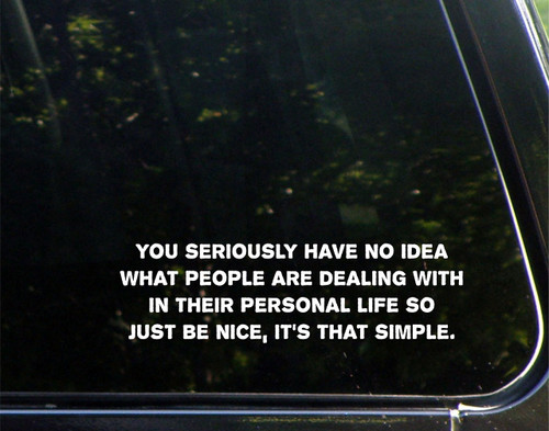 You Seriously Have No Idea What People are Dealing with.SO Just Be Nice. It's That Simple. - for Cars Funny Car Vinyl Bumper Sticker Window Decal | White | 8.75" inch