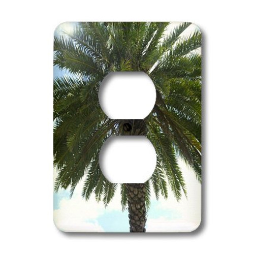 3dRose LLC lsp_35294_6 Palm Against Blue Sky, 2 Plug Outlet Cover 3dRose LLC lsp_35294_6 Palm Against Blue Sky, 2 Plug Outlet Cover