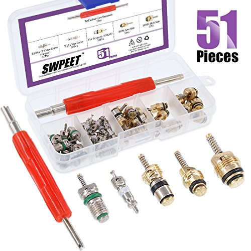 Swpeet 51Pcs R12 / Green R134a AC Master Valve Cores Repair Kit, Including Assortment R12 R134a Valve Core Refrigeration Tire Valve Stem Cores with Remover Tool for Most Cars