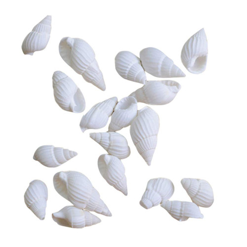 ULTNICE Large Shells 1 PC Tiny Sea Shells Conches, Small Tiny sea Shells, Mini Conches Natural for DIY Crafts Ocean Beach Party Home Decor Tiny Shells