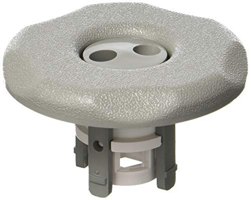 Waterway Plastics 806105029515 Large Face 5-Scallop Gray Jet Mini Adjacent Pulsator