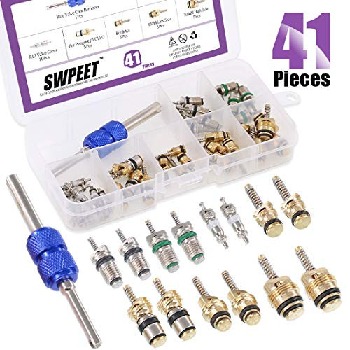 Swpeet 41Pcs R12 / R134a AC Master Valve Core Repair Kit, Including Assortment R12 R134a Valve Core Refrigeration Tire Valve Stem Cores with Remover Tool for Most Cars
