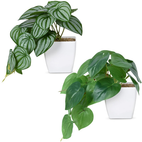 Waipfaru 2Pcs Fake Plants, Realistic Small Fake Plants, Faux Plants Indoor with Plastic Pots, Fake Potted Plants, Artificial Plant for Home Shelf Bathroom Kitchen Room Office Indoor Outdoor Decor Waipfaru 2Pcs Fake Plants, Realistic Small Fake Plants, Faux Plants Indoor with Plastic Pots, Fake Potted Plants, Artificial Plant for Home Shelf Bathroom Kitchen Room Office Indoor Outdoor Decor