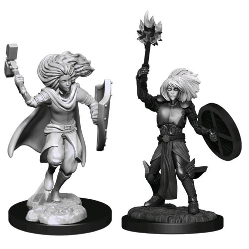 D&D Nolzur's Marvelous Miniatures: Changeling Cleric