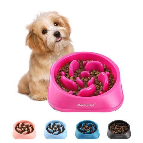 MateeyLife Slow Feeder Dog Bowls Large Breed, Dog Slow Feeder Bowl, Dog Food Bowls Slow Feeder, Large Dog Bowl Slow Feeder, Dog Bowl That Slow Down Eating, Puzzle Dog Food Bowls, Slow Eating Dog Bowl MateeyLife Slow Feeder Dog Bowls Large Breed, Dog Slow Feeder Bowl, Dog Food Bowls Slow Feeder, Large Dog Bowl Slow Feeder, Dog Bowl That Slow Down Eating, Puzzle Dog Food Bowls, Slow Eating Dog Bowl