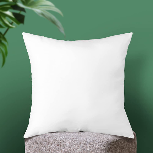 Soleebee Premium Polyester Pillow Inserts, Square Decorative Throw Pillow Inserts, Hypoallergenic Couch Cushion Sham Stuffer (20x20 Inch)