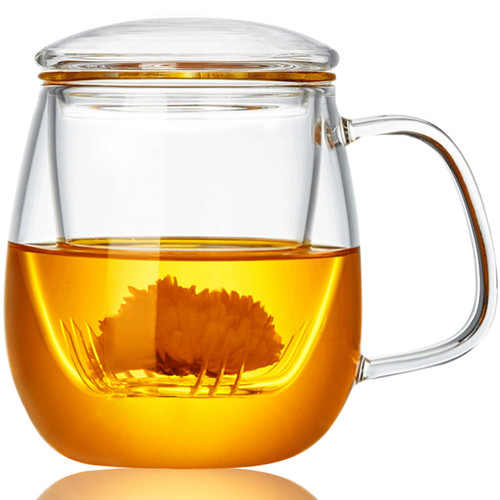 WHJY Glass Tea Cup with Infuser and Lid, 18 ounce Glass Tea Cups with Strainer, Loose Leaf Tea Cup Mug for One, Lead-free Borosilicate Glass Teacups, Heat Resistance, Microwave & Dishwasher Safe WHJY Glass Tea Cup with Infuser and Lid, 18 ounce Glass Tea Cups with Strainer, Loose Leaf Tea Cup Mug for One, Lead-free Borosilicate Glass Teacups, Heat Resistance, Microwave & Dishwasher Safe