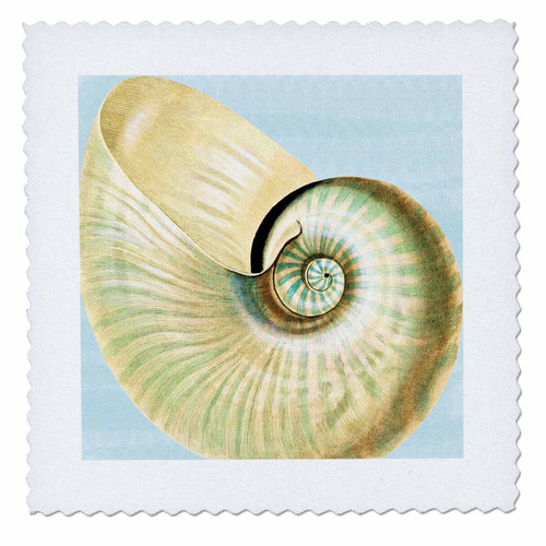 3dRose qs_63637_2 Beautiful Seashell Beach Themed Art Quilt Square, 6 by 6-Inch, White