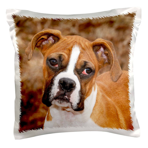 3dRose pc_140295_1 Purebred Boxer Dog Na02 Pwo0038 Piperanne Worcester Pillow Case, 16" x 16" 3dRose pc_140295_1 Purebred Boxer Dog Na02 Pwo0038 Piperanne Worcester Pillow Case, 16" x 16"