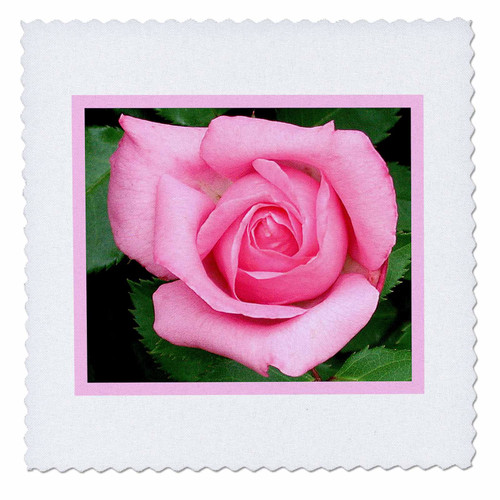 3dRose qs_7421_1 Pale Pink Rose-Quilt Square, 10 by 10-Inch