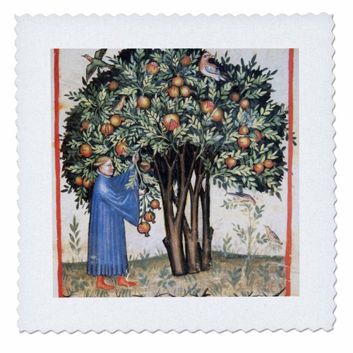 3dRose qs_83099_1 Tacuinum Sanitatis, Medieval Health, Illustration HI13 PRI0230 Prisma Quilt Square, 10 by 10-Inch 3dRose qs_83099_1 Tacuinum Sanitatis, Medieval Health, Illustration HI13 PRI0230 Prisma Quilt Square, 10 by 10-Inch