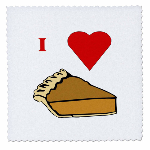 3dRose qs_60649_1 I Love Pumpkin Pie Quilt Square, 10 by 10-Inch