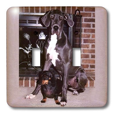 3dRose LLC lsp_808_2 Blue Great Dane Double Toggle Switch