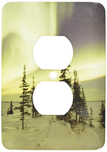 3dRose lsp_100478_6 Incredibly Beautiful Northern Lights 2 Plug Outlet Cover