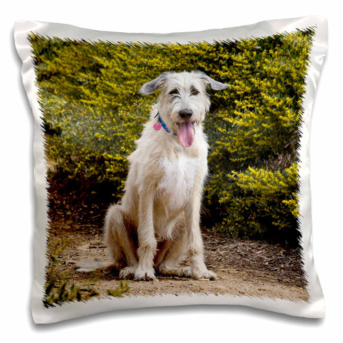 3D Rose an Irish Wolfhound Puppy Dog-Na02 Zmu0124-Zandria Muench Beraldo Design Pillowcase, 16" x 16" 3D Rose an Irish Wolfhound Puppy Dog-Na02 Zmu0124-Zandria Muench Beraldo Design Pillowcase, 16" x 16"