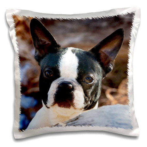3dRose pc_140275_1 Pillow Case, 16 x 16