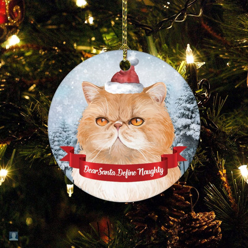 Dear Santa Define Naughty Cat Photo Christmas Ornaments2022 Pet Cat Owner Gifts for Home Decor Double-Sided Round Ceramic Holiday Xmas Tree Decoration Ornaments