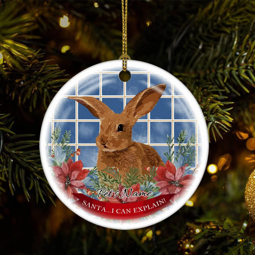 Christmas Tree Ornaments Pet's Name Rabbit Christmas Ornament Keepsake Ornament Home Decor Animal Lover Hanging Pendants Round Ceramic Xmas Ornaments
