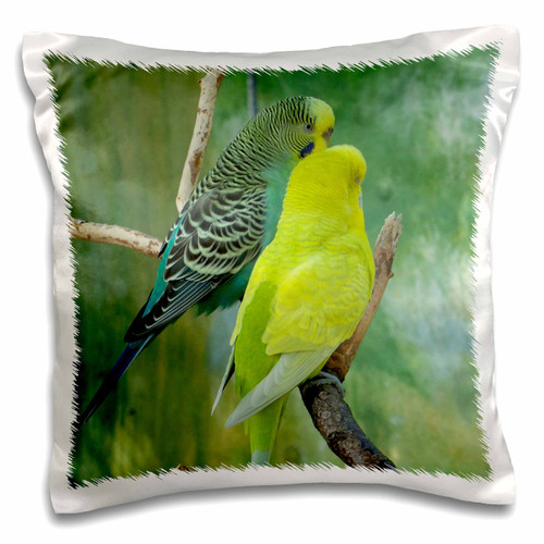 3dRose pc_236742_1 Pillow Case, 16 x 16