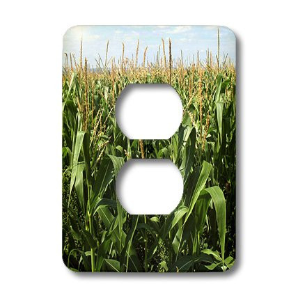 3dRose LSP_44769_6 Cornfield N Blue Skies Outlet Cover