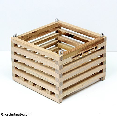 Wood Cedar Slat Vanda Orchid Basket - Square 7 inch