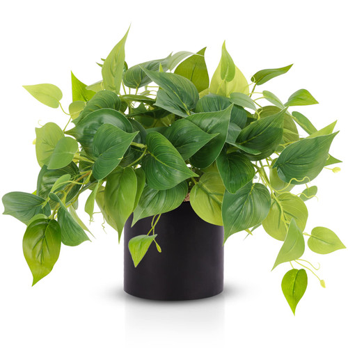 JPSOR Faux Plants Indoor, Artificial Plants for Home Decor Indoor, Pothos Small Fake Plants for Living Room Decor Artificial Potted Plants for Indoor Outdoor Shelf Home Office Decor?Black Ceramic Pot? JPSOR Faux Plants Indoor, Artificial Plants for Home Decor Indoor, Pothos Small Fake Plants for Living Room Decor Artificial Potted Plants for Indoor Outdoor Shelf Home Office Decor?Black Ceramic Pot?