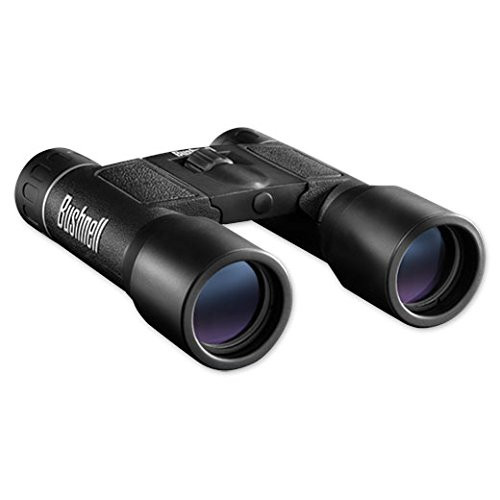 Bushnell Powerview 8x21 Compact Folding Roof Prism Binocular (Black)