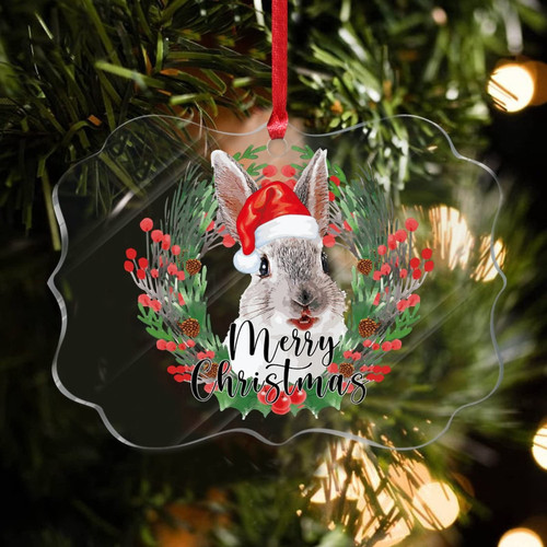 Rabbit Bunny Ornament Keepsake Pine Cones Christmas Ornaments Xmas Party Decorations Round Clear Round Acrylic Ornament Pendant for Friends Coworkers Employees Family Rabbit Bunny Ornament Keepsake Pine Cones Christmas Ornaments Xmas Party Decorations Round Clear Round Acrylic Ornament Pendant for Friends Coworkers Employees Family