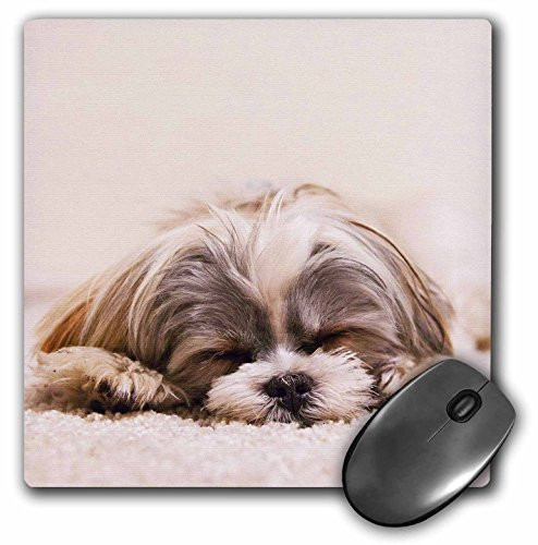 3D Rose"Shih Tzu. Sleeping. Best Friend." Matte Finish Mouse Pad - 8 x 8" - mp_220715_1
