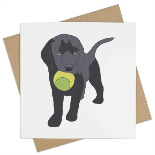 Azeeda 'Puppy Labrador ' Blank Greeting Card (GC00052249)