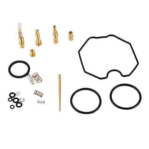 CQYD New Carb Repair Carburetor Rebuild Kit for 2001-2005 Honda TRX250EX 250EX