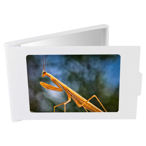 Azeeda 'Mantis' Compact/Travel/Pocket Makeup Mirror (CM00005995)